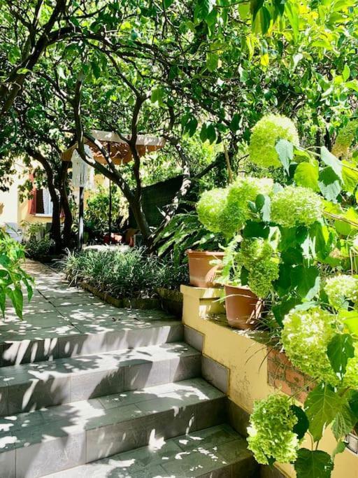 Casa Adele Appartement Monterosso al Mare Buitenkant foto